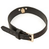 Generique Collier-Laisse Master Me Noir